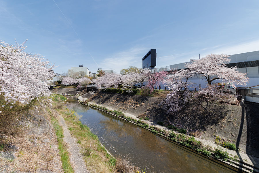 川名駅徒歩圏×建築条件付き土地】昭和区檀渓通(限定1区画・2 川名駅徒歩圏×建築条件付き土地】昭和区檀渓通(限定1区画・2