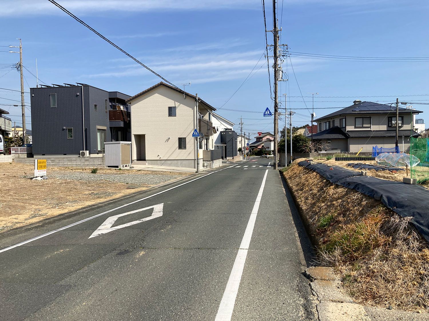 現地写真