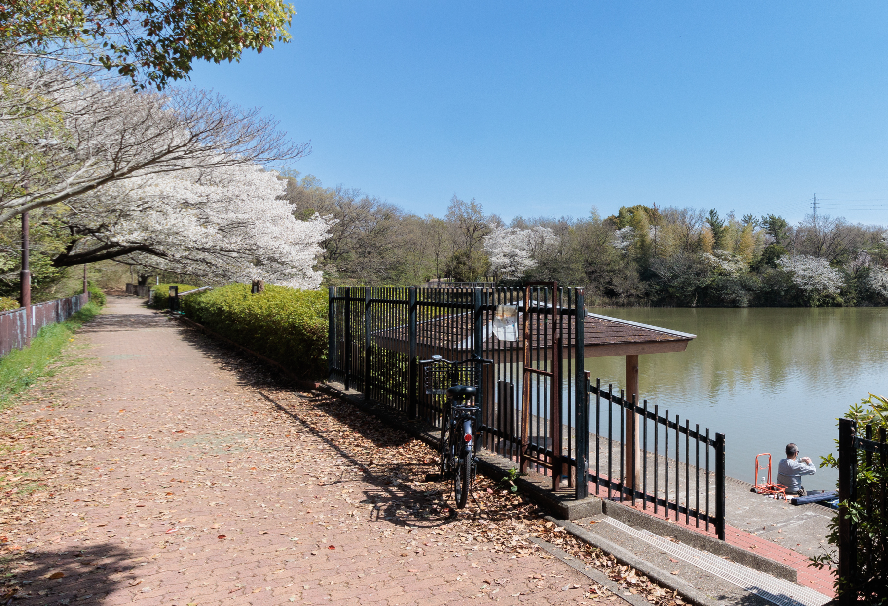 水広公園 徒歩約3分
