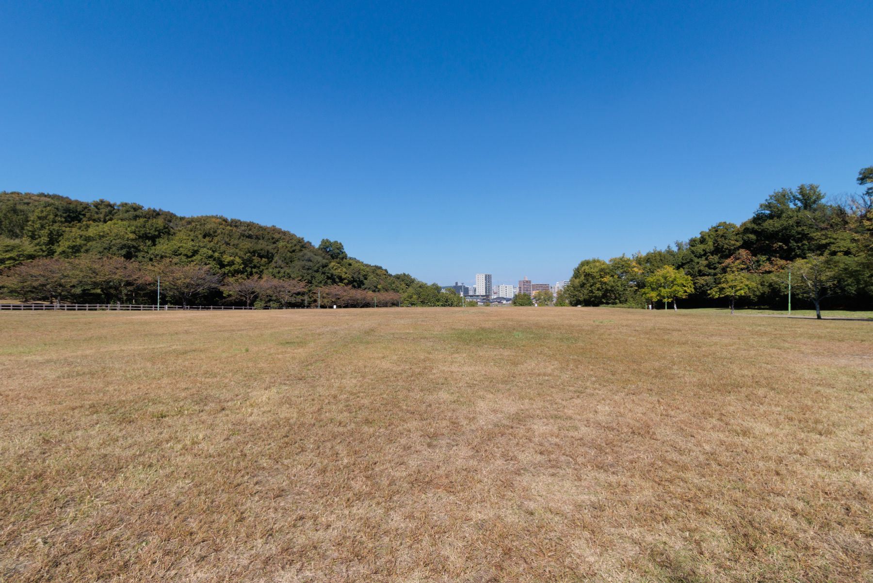 天白公園 徒歩約15分