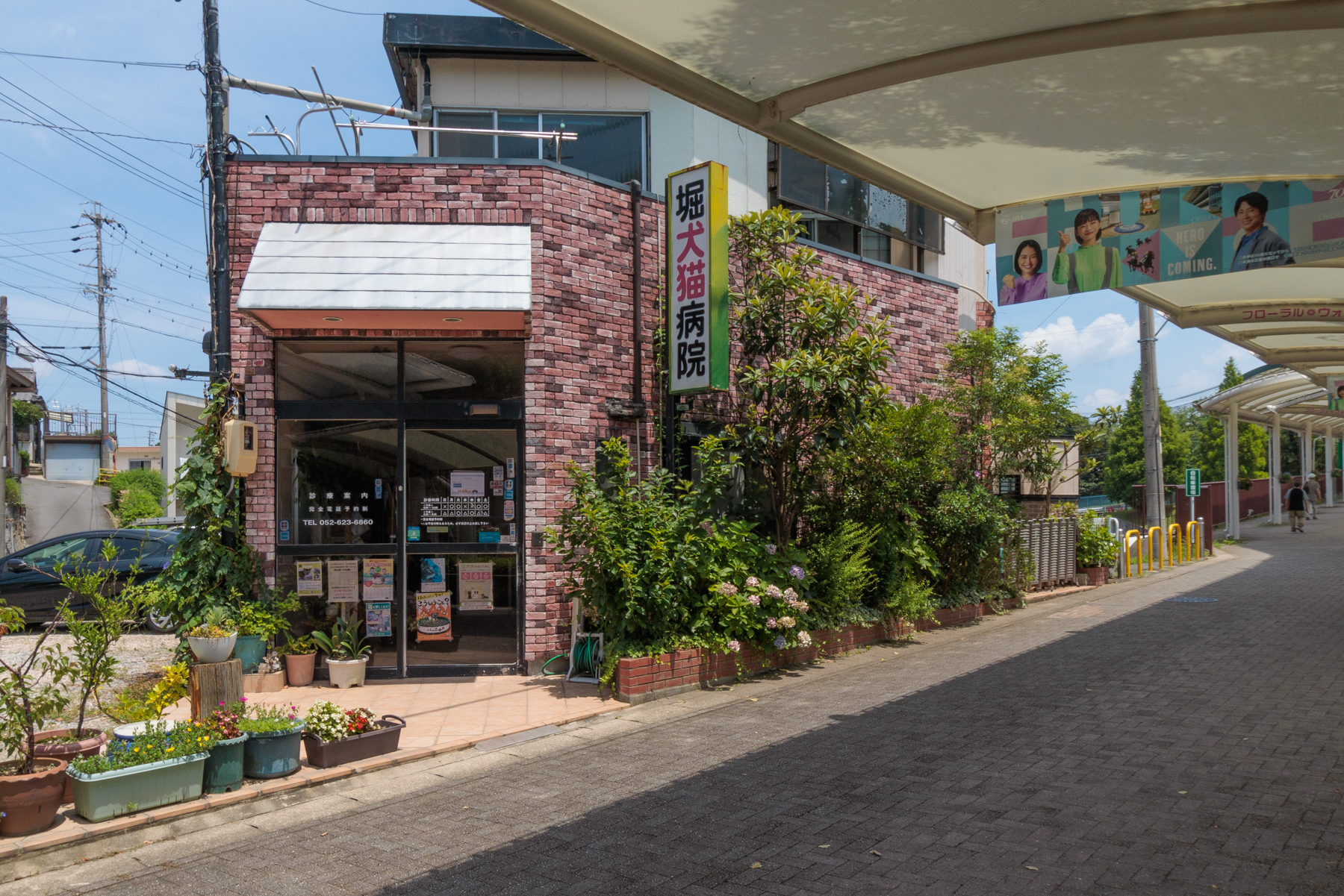 堀犬猫病院　徒歩約5分