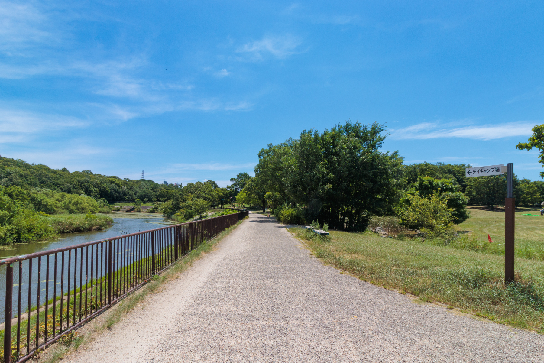 天白公園　徒歩約8分
