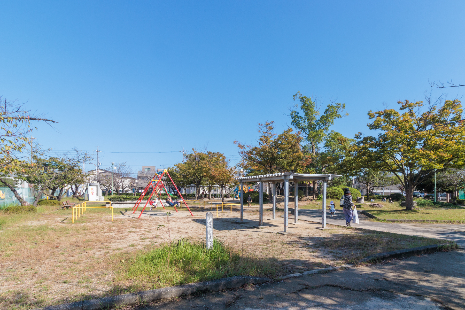 中央公園の風景