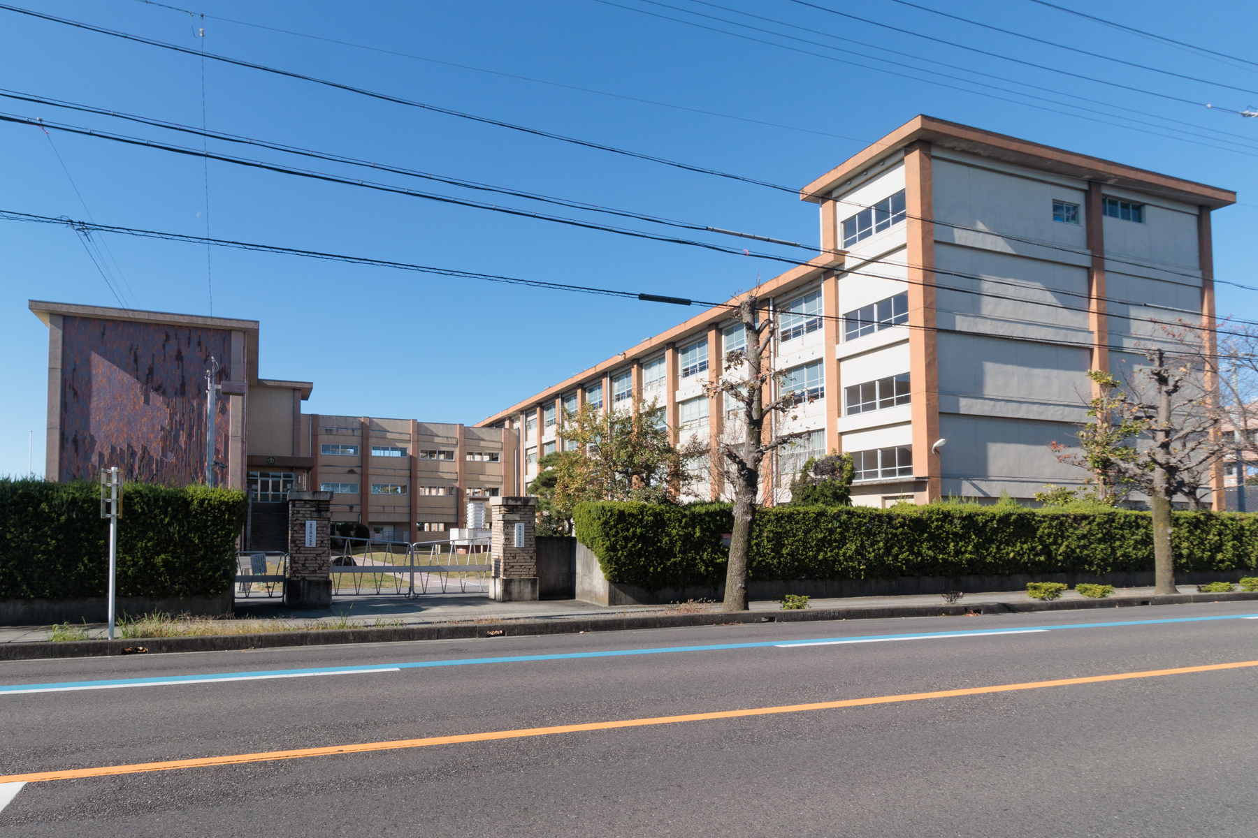向山小学校