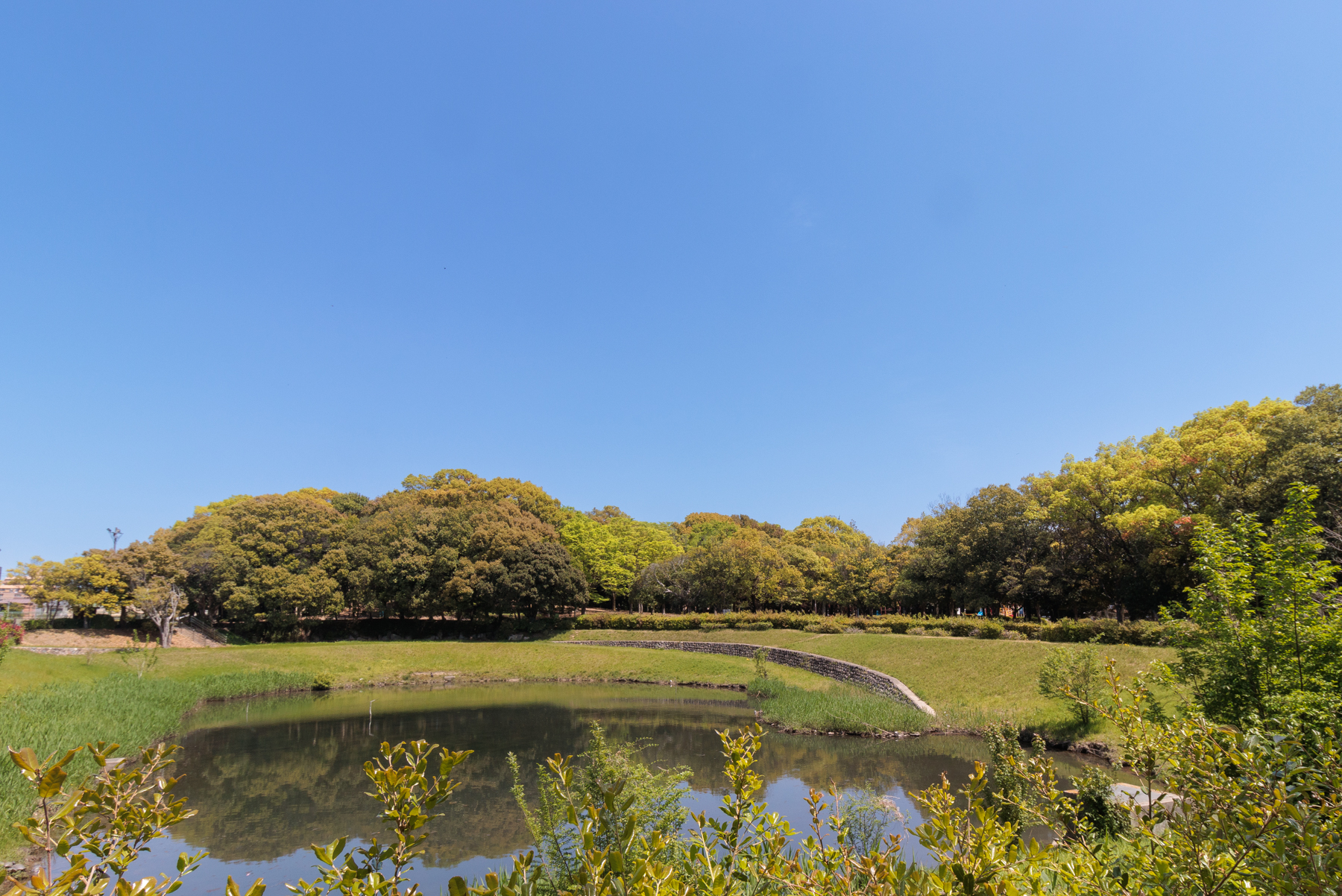秋葉公園 徒歩約18分