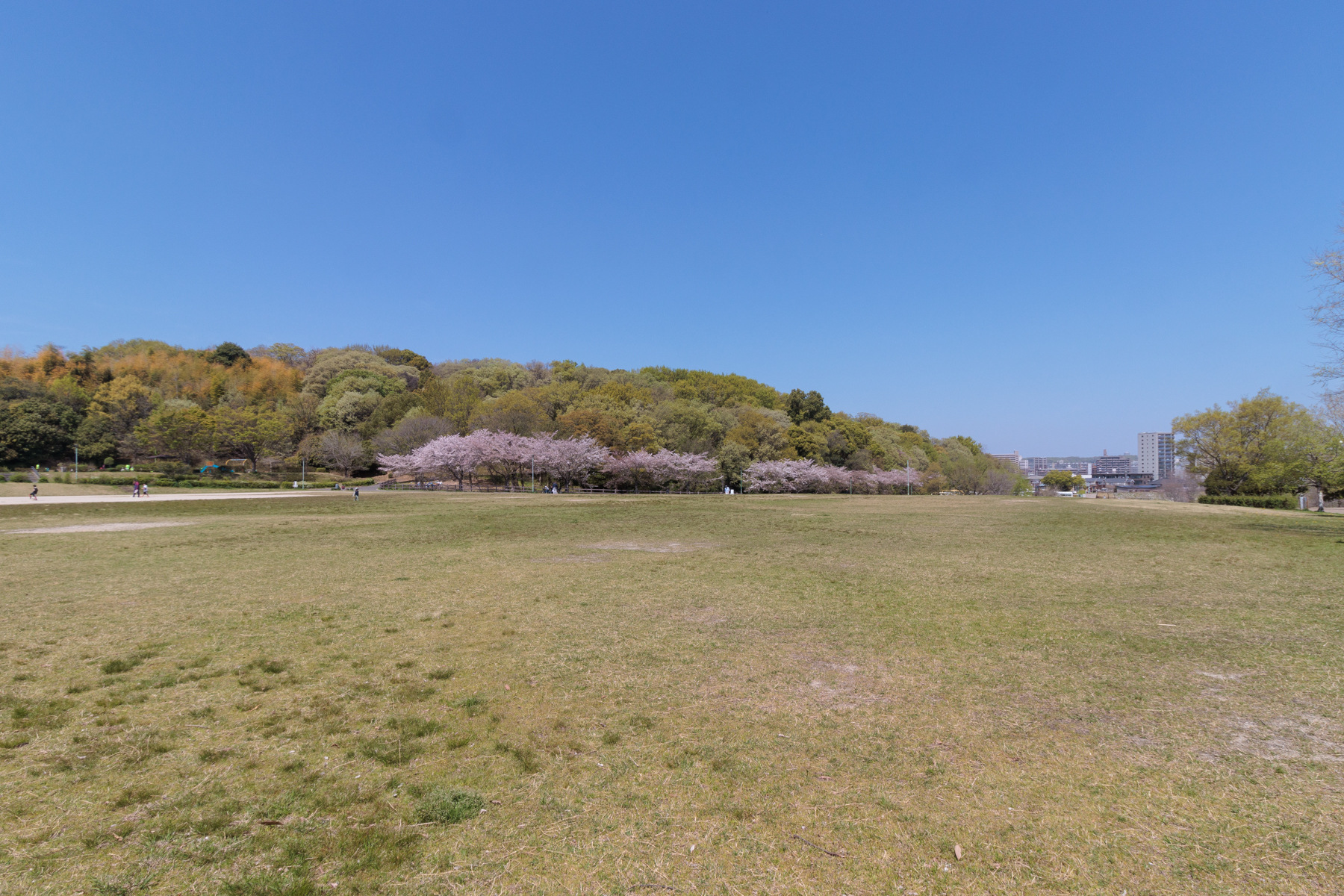 天白公園 徒歩約3分