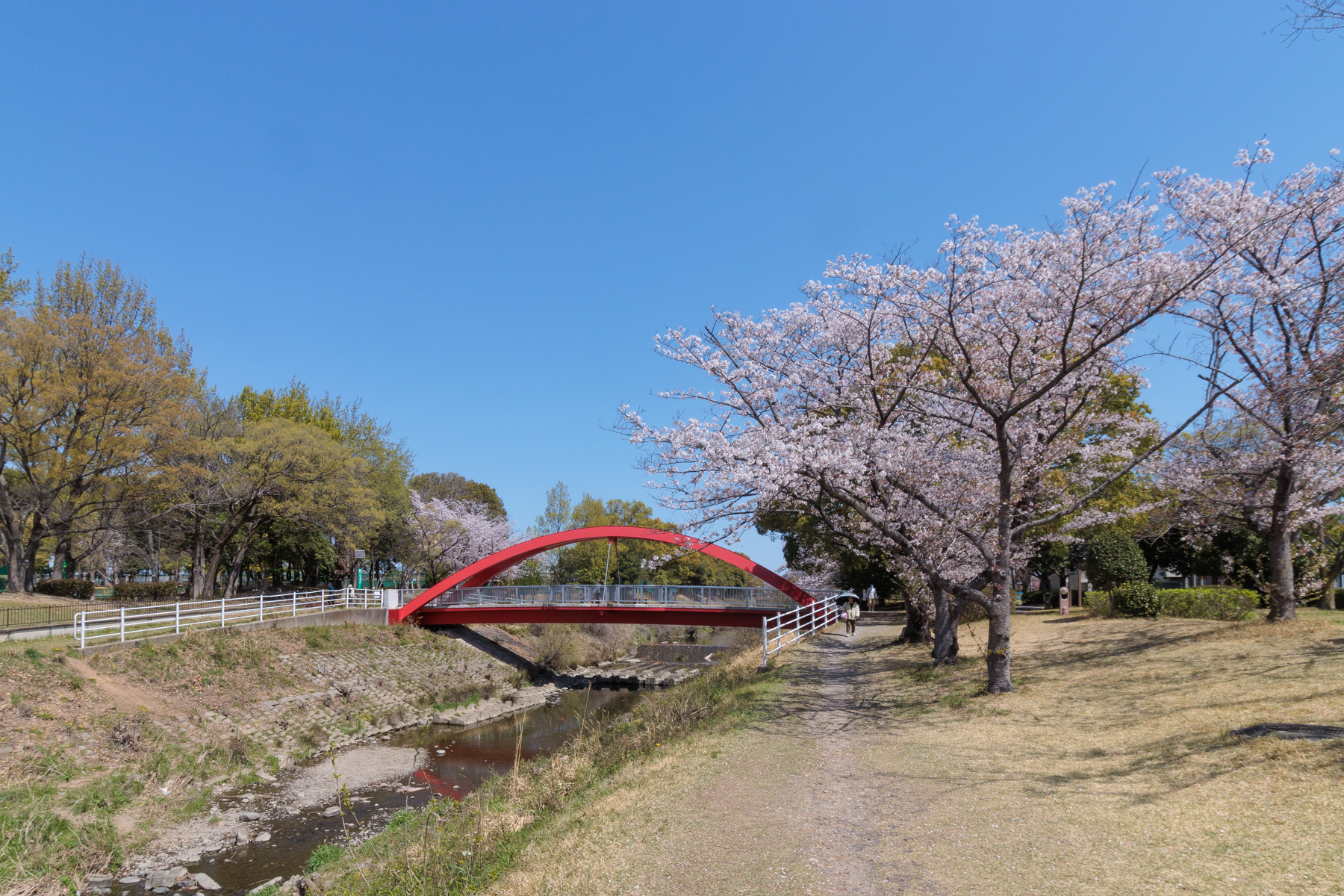 ふれあい緑道