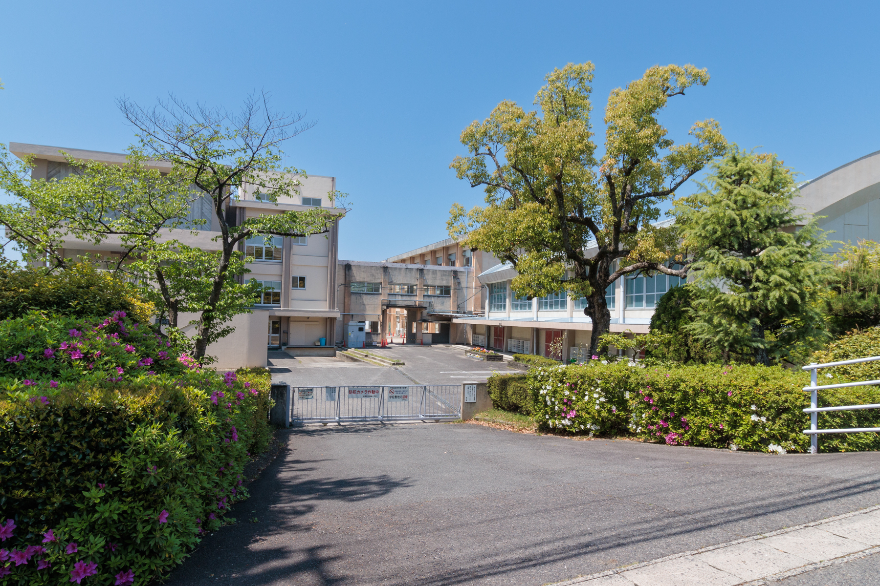 周辺の小学校