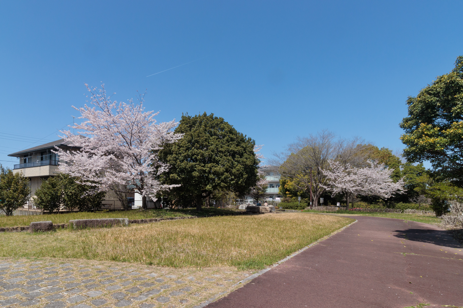 尾張広域緑道　徒歩約1分