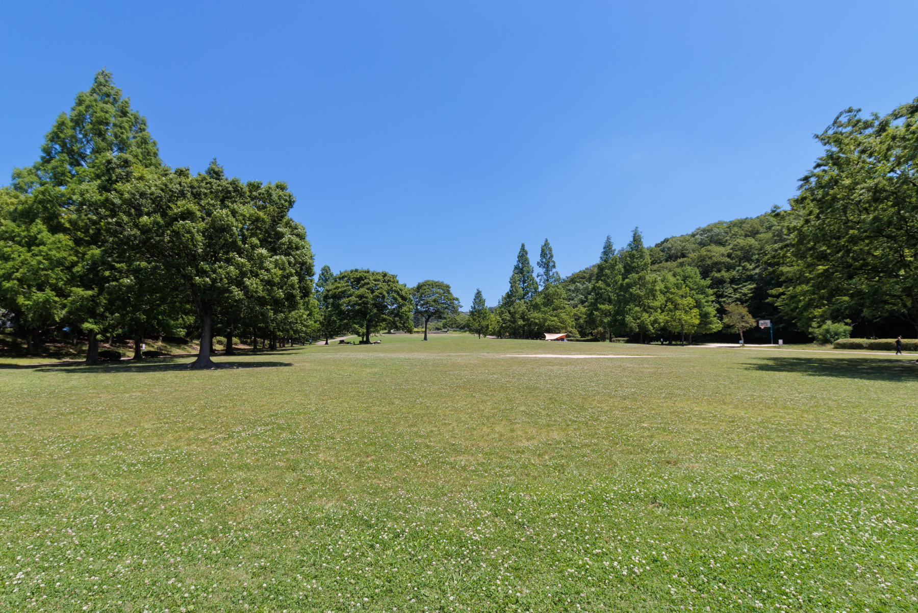 平和公園　徒歩約8分