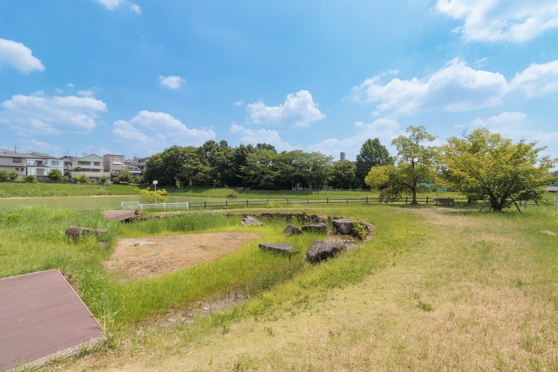 真菰池親水公園　徒歩約6分