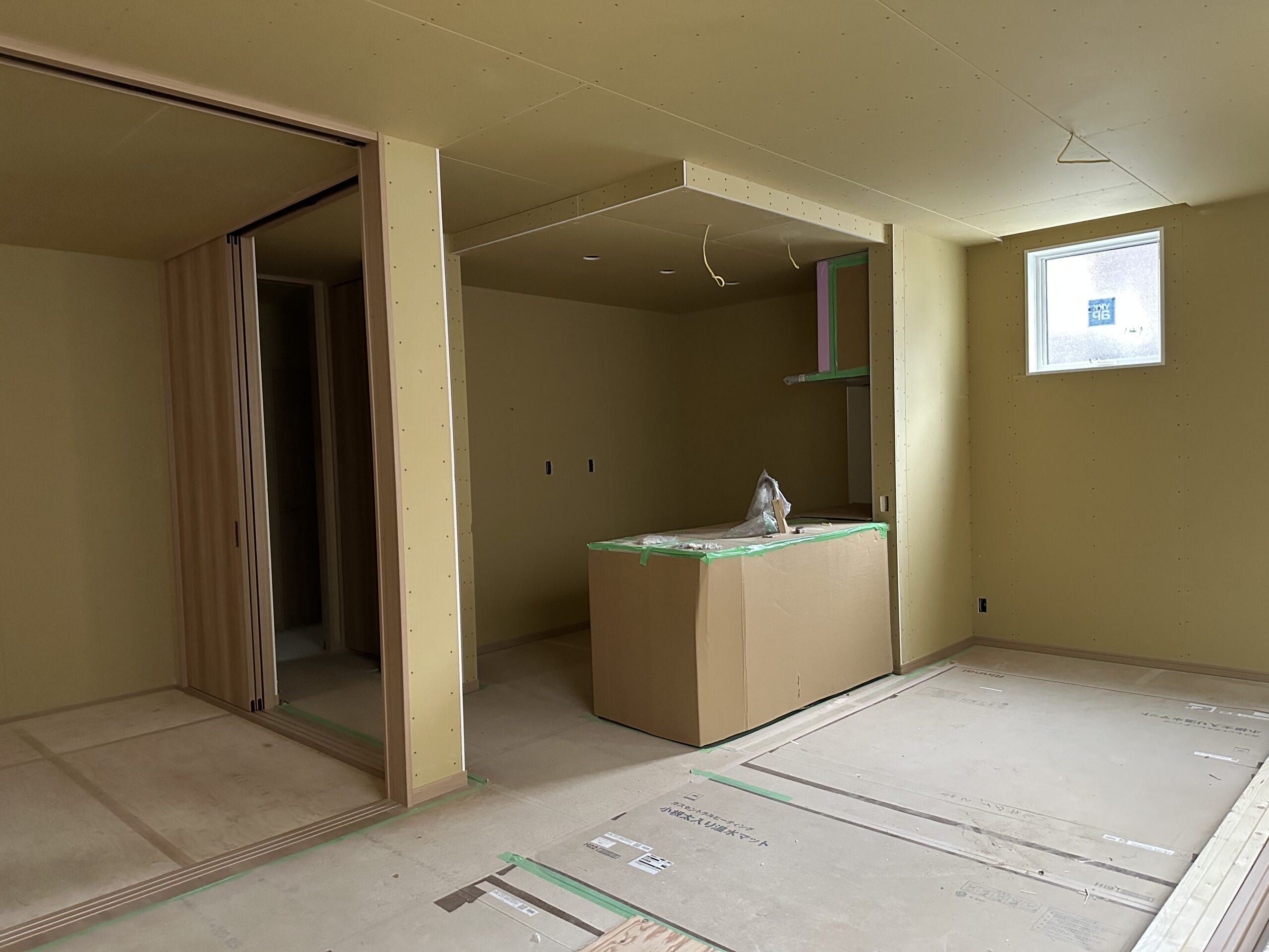 令和7年10月19日 撮影