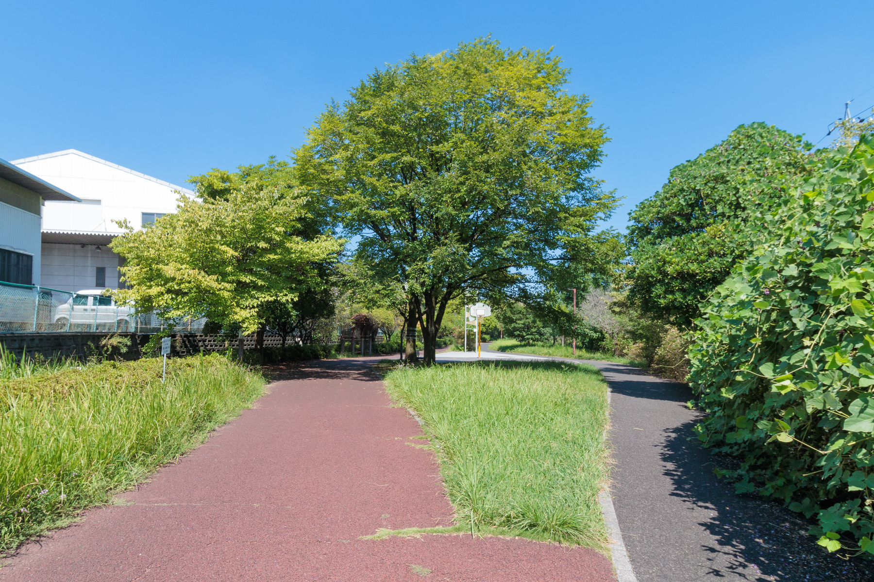 尾張広域緑道　徒歩約6分