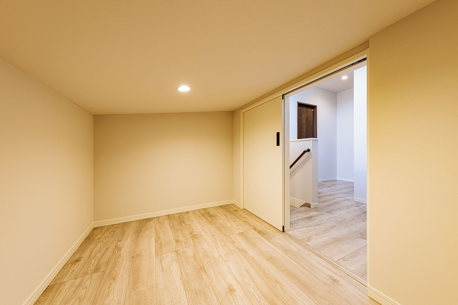 T-1/下屋収納は季節の家電やスーツケースなど、たっぷりしまえる大容量!頼もしい「家のバックヤード」。