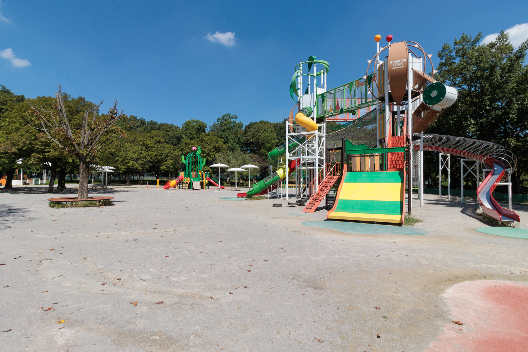 朝宮公園 徒歩約15分