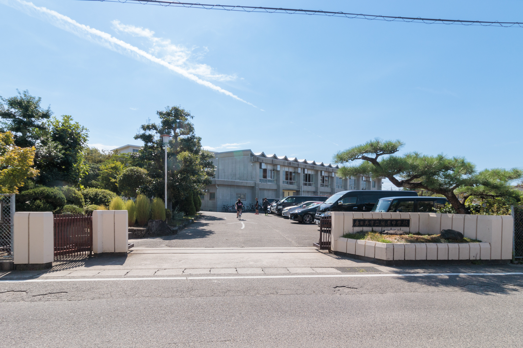 柏原中学校 徒歩約13分