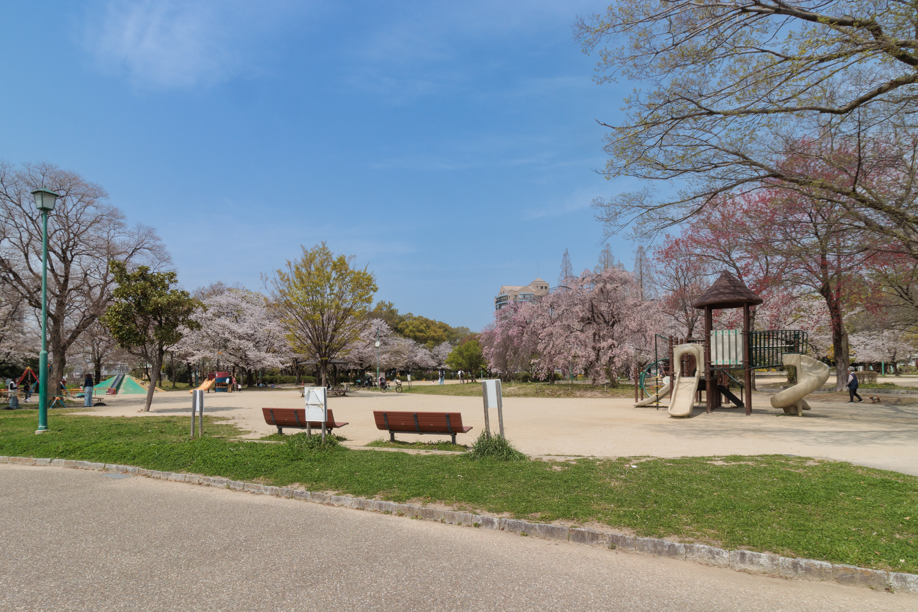 志賀公園　徒歩約13分